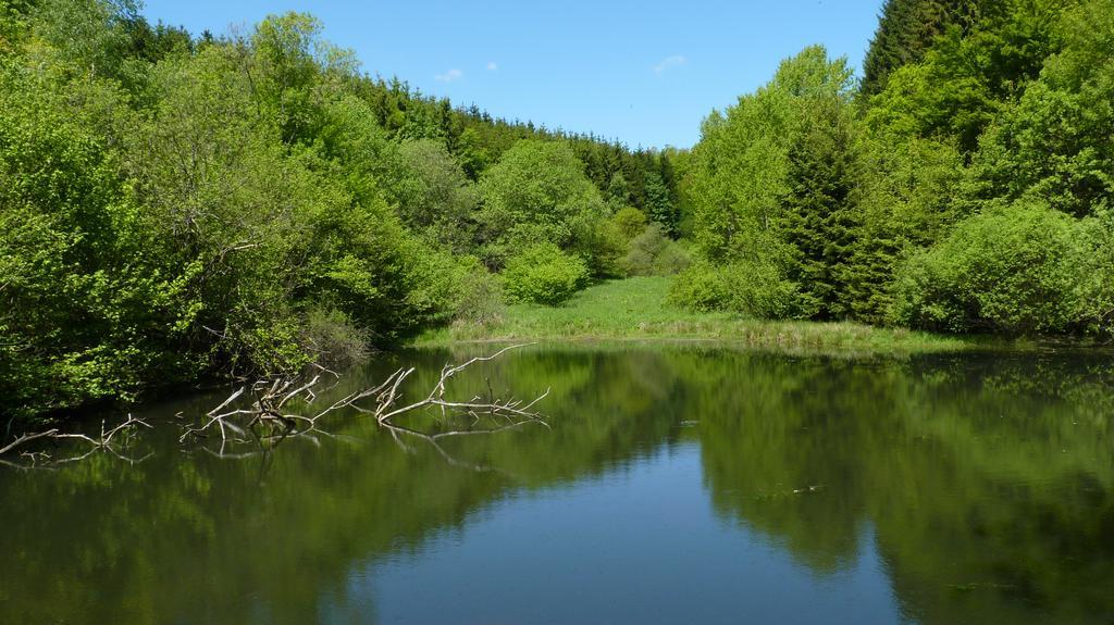 Landidyll Landhaus Liesetal ฮัลเลนแบร์ก ภายนอก รูปภาพ