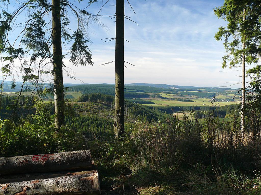 Landidyll Landhaus Liesetal ฮัลเลนแบร์ก ภายนอก รูปภาพ