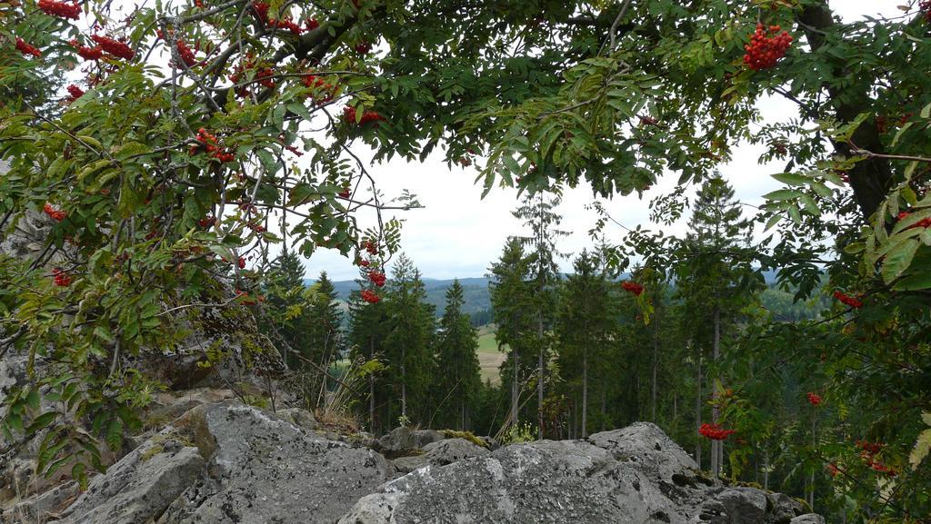 Landidyll Landhaus Liesetal ฮัลเลนแบร์ก ภายนอก รูปภาพ