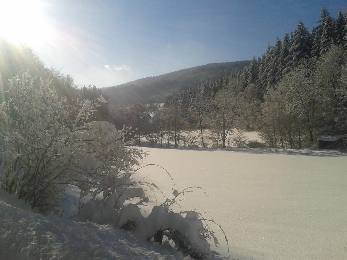 Landidyll Landhaus Liesetal ฮัลเลนแบร์ก ภายนอก รูปภาพ